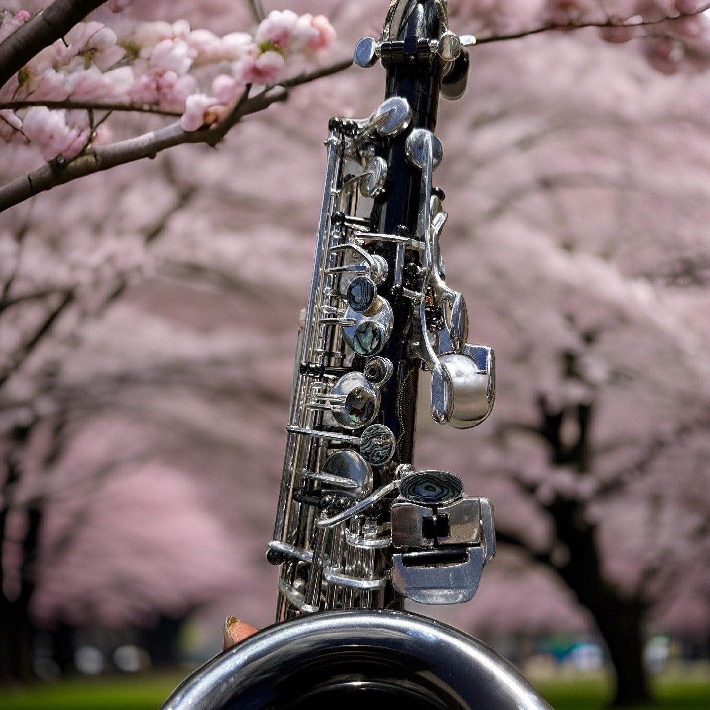 DC 30 Series Big Bell Black Nickel Silver Plated professional alto saxophone