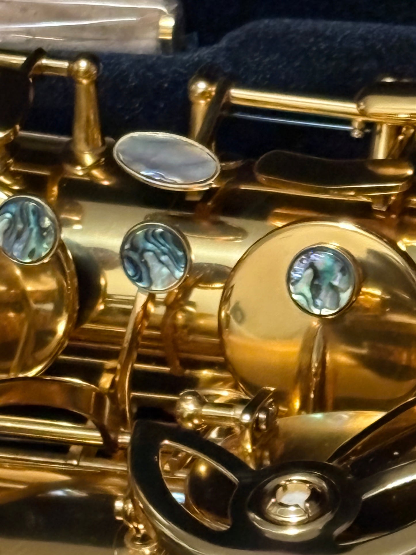 DC 30 Series Professional Gold Lacquer Low A Baritone Saxophone