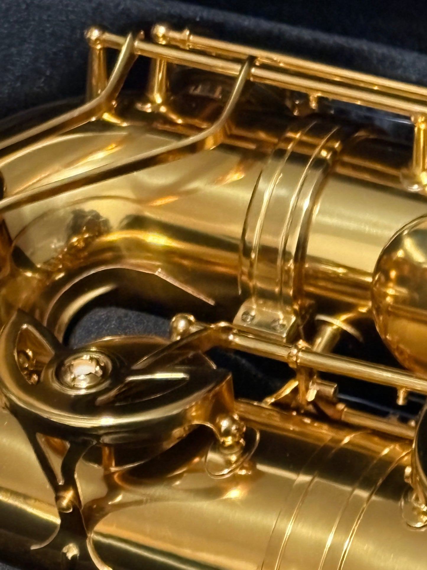 DC 30 Series Professional Gold Lacquer Low A Baritone Saxophone