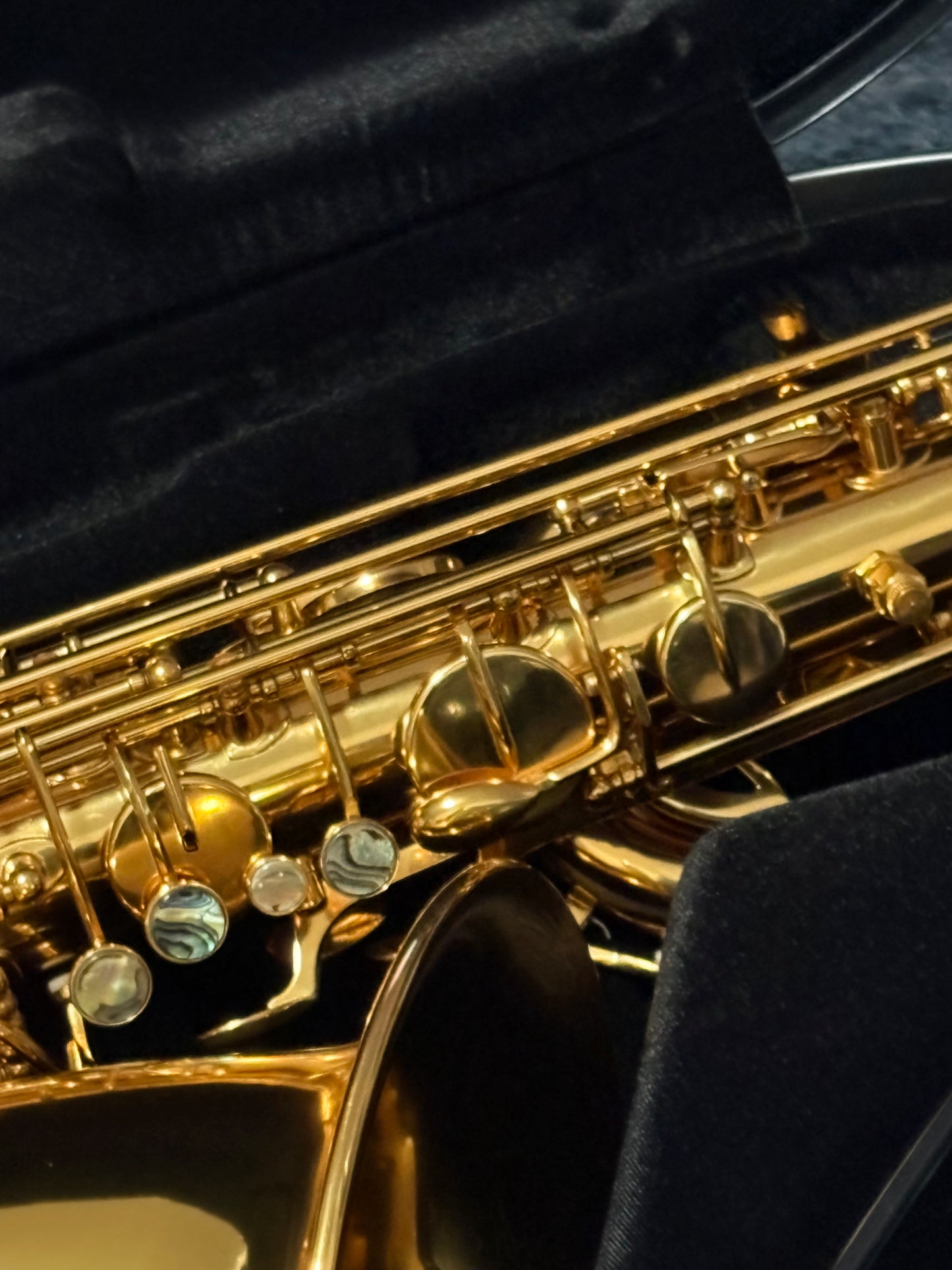 DC 30 Series Professional Gold Lacquer Low A Baritone Saxophone