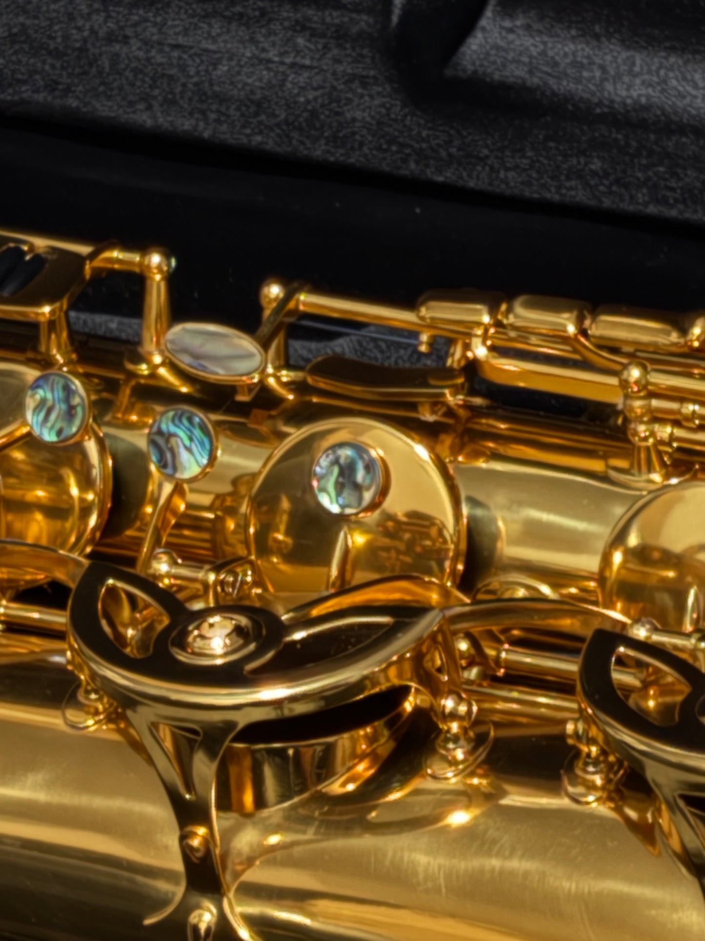 DC 30 Series Professional Gold Lacquer Low A Baritone Saxophone