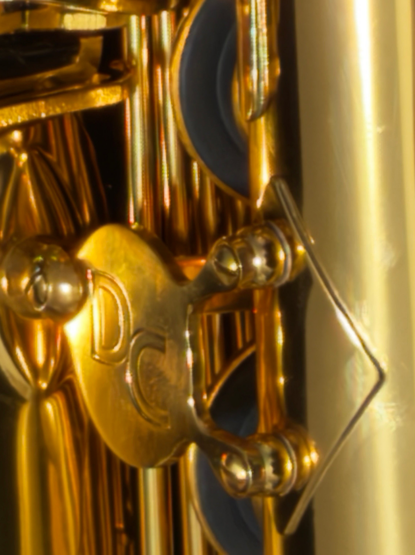 DC 30 Series Professional Gold Lacquer Low A Baritone Saxophone