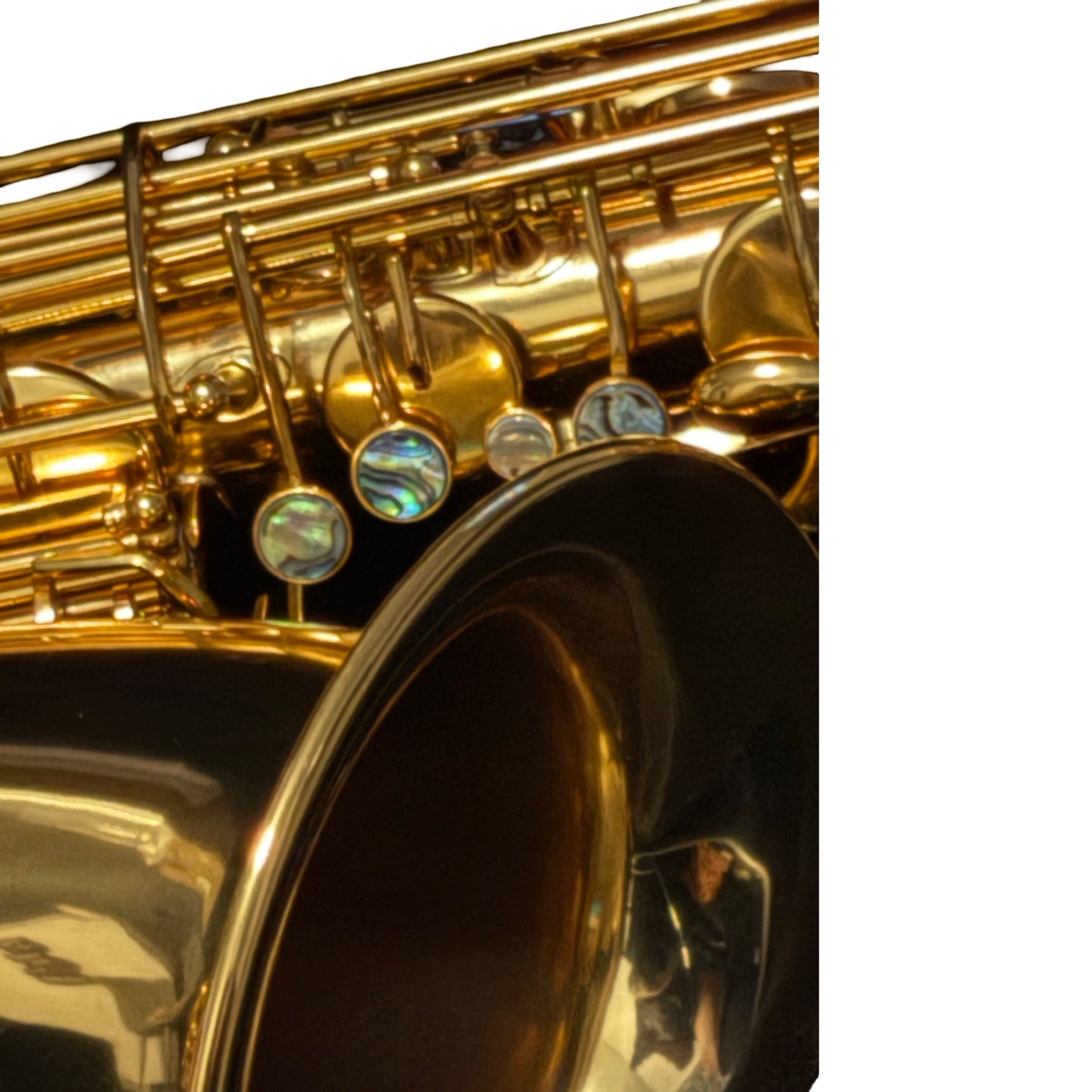DC 30 Series Professional Gold Lacquer Low A Baritone Saxophone