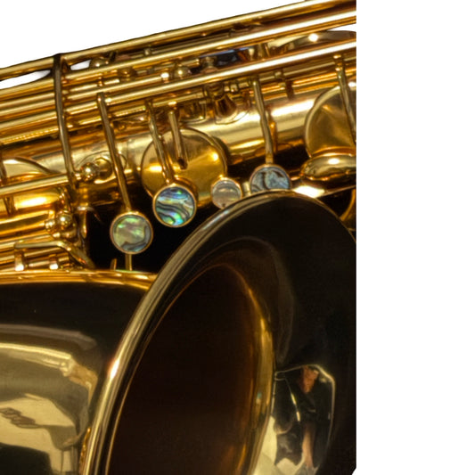 DC 30 Series Professional Gold Lacquer Low A Baritone Saxophone