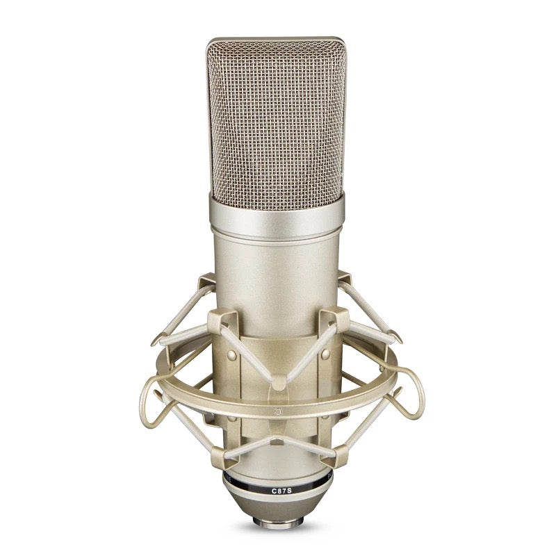 Darron McKinney U 87 studio recording condenser microphone