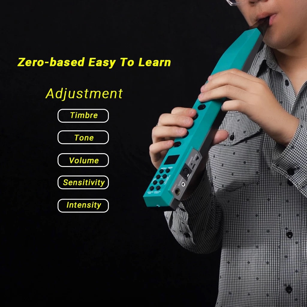 DC Wireless electric wind controller